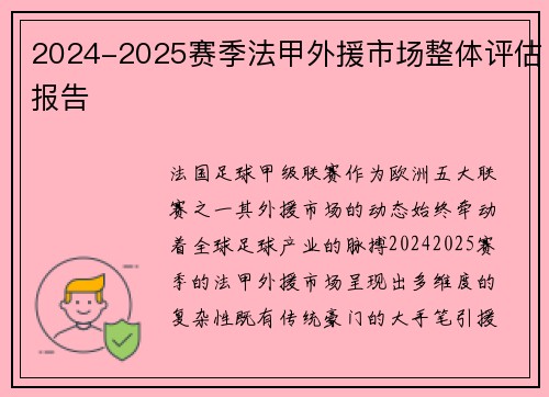 2024-2025赛季法甲外援市场整体评估报告