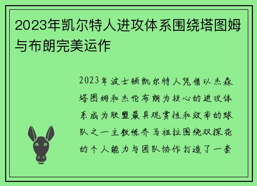 2023年凯尔特人进攻体系围绕塔图姆与布朗完美运作